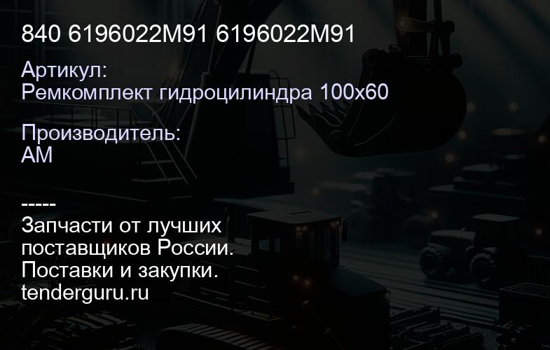 Ремкомплект гидроцилиндра 100х60 рукояти () C74A96 C74A96 | купить запчасти